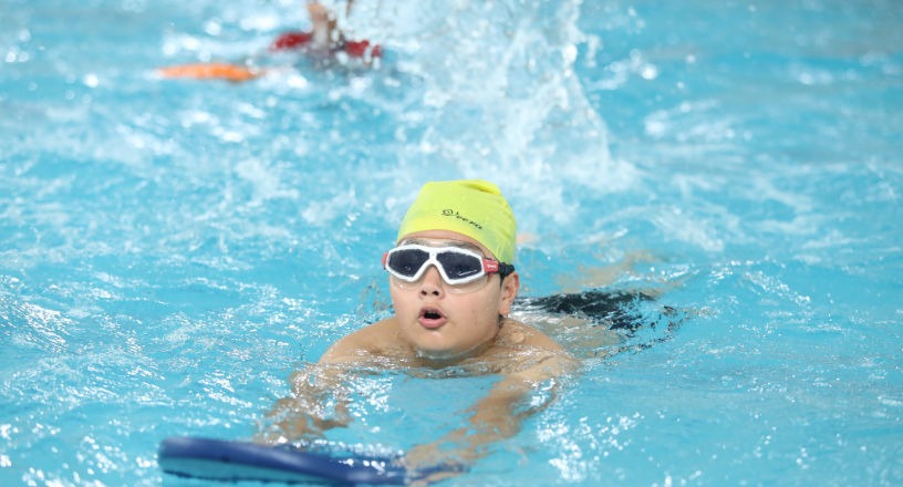 Triton-Ans-Natation-Apprentissage-niveaux