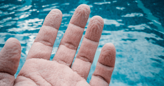 Triton-Ans-Natation-Sante-Peau-Fripee